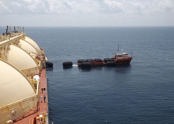 Kalite Gemiden Gemiye Özelleştirilmiş Yokohama Marine Şişirilebilir Kauçuk Çamurluklar Fabrika