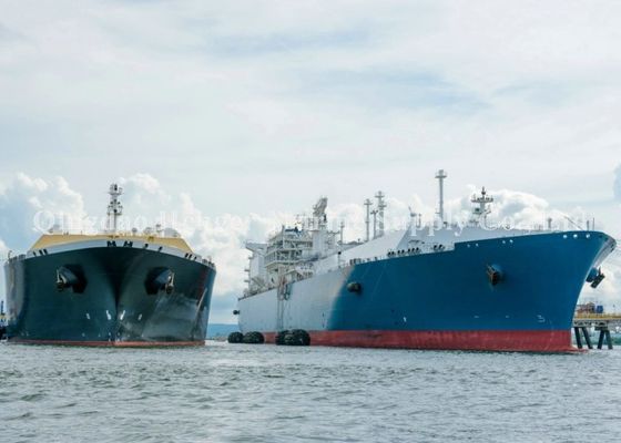 Kalite Gemiden gemiye (STS) Transfer Pumpsions için Yokohama Pnömatik Lastik Fender Fabrika