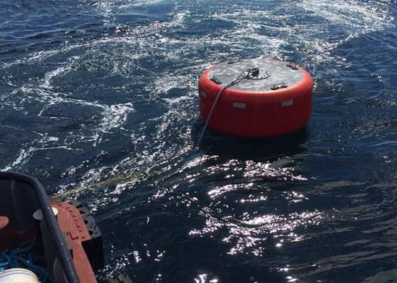 Kalite Yüksek Performanslı Gemi Deniz Bağlama Şamandıra EVA Polietilen Malzeme Fabrika