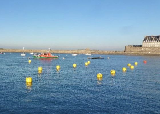 Kalite Su Ömrü için Rod Offshore Mooring Şamandıra, Polietilen Kanal Marker Şamandıra Fabrika