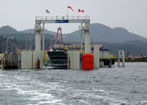Kalite Tekne Koruması İçin EVA Köpük Dolgulu Çamurluk EVA Malzemesi Fabrika