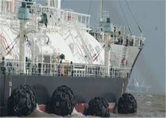 Kalite 3.3m 50kPa 80kPa Gemi Koruma Botu Kauçuk Çamurluk Fabrika