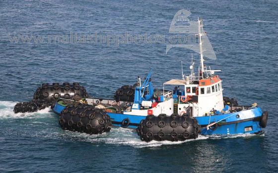 Kalite Galvanizli Çamurluk ile Deniz Pnömatik Kauçuk Çamurluk Yokohama Gemi Lastiği Çamurluk Fabrika