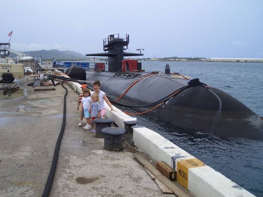 Kalite Tip Ⅵ Hidro Pnömatik Tip Çamurluk Deniz Gemileri Pnömatik Kauçuk Çamurluk Zincir Lastiği Fabrika