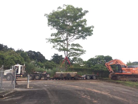 Kalite Deniz Kauçuk Gemisi Hava Yastıklarını Başlatıyor Kuru Havuz Kaldırma Gemisini Başlatıyor Fabrika