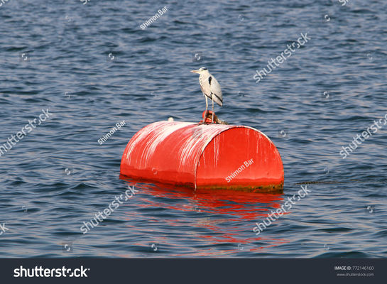 Kalite Yat için Yüksek Yüzdürme Büyük Çelik Demirleme Şamandırası Yüzer Deniz Şamandıraları Fabrika
