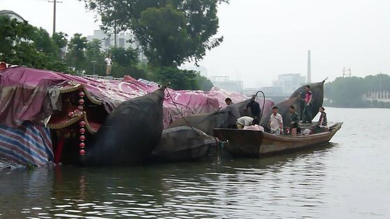 Kalite Deniz Şişme Bot Hidro Pnömatik Çamurluk Kauçuk Yüzer Tekne Çamurluğu Fabrika